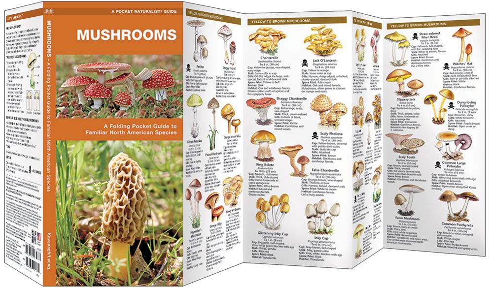 Waterford Press - Mushroom Pocket Guide