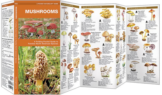 Waterford Press - Mushroom Pocket Guide