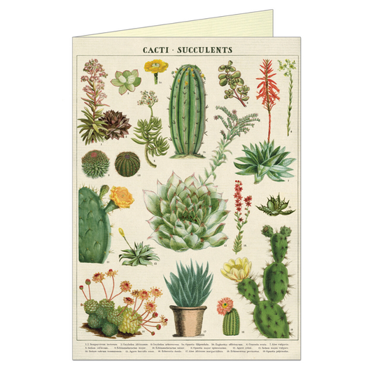 Cacti Succulents Greeting Card & Envelope - Cavallini
