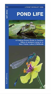 A Pocket Naturalist Guide - Pond Life