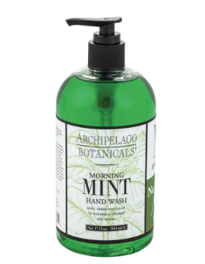 Archipelago - Morning Mint 17 oz. Hand Wash