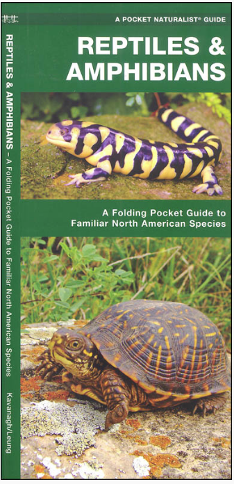 A Pocket Naturalist Guide - Reptiles & Amphibians