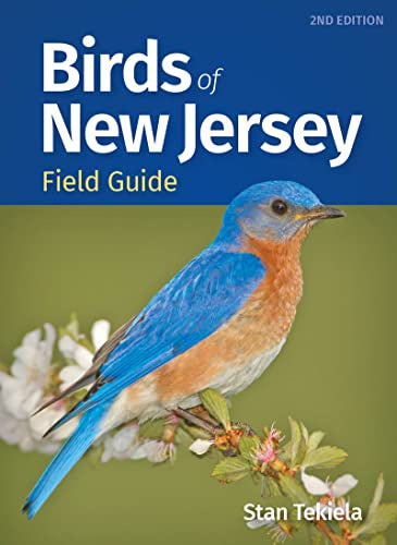 Ingram - Birds of New Jersey
