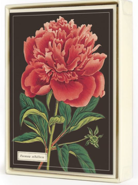 Cavallini Papers & Co - Boxed Notecards