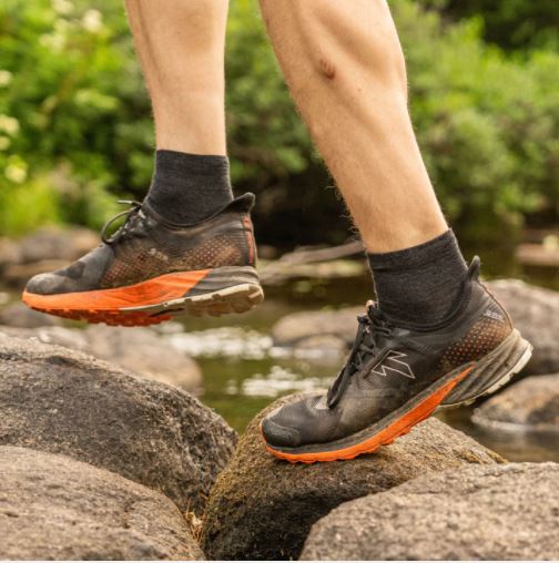 Darn tough hiker quarter hotsell cushion socks