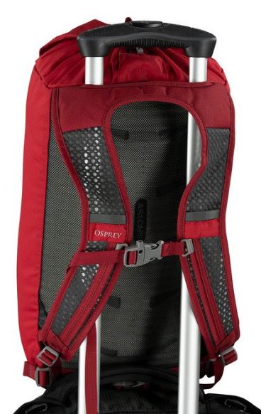daylite cinch osprey Osprey