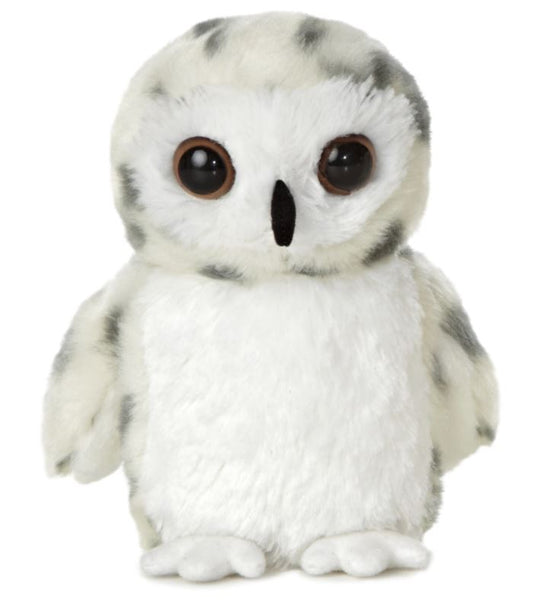 Aurora - Snowy Owl