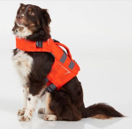 NRS - CFD Dog Life Jacket