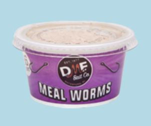 DMF - Mealworms