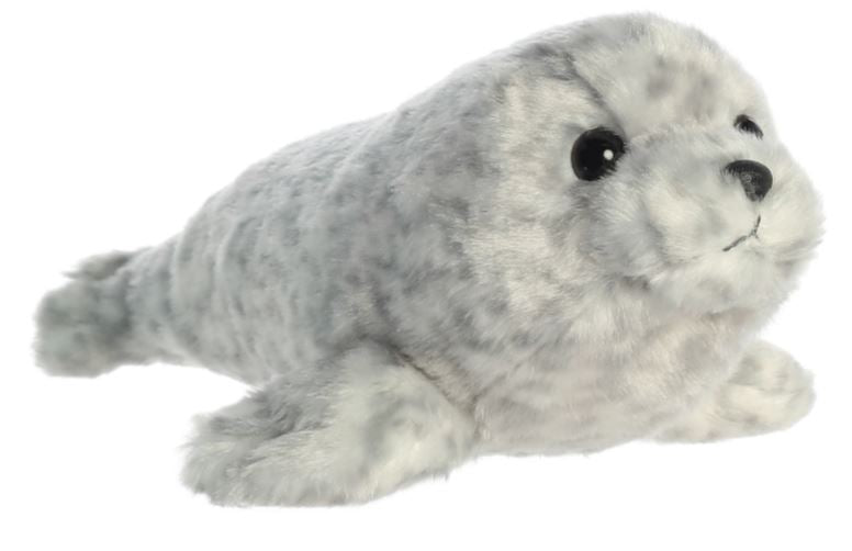 Aurora - Harbor Seal