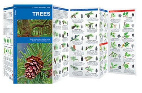 Wilcor - Trees Pocket Guide