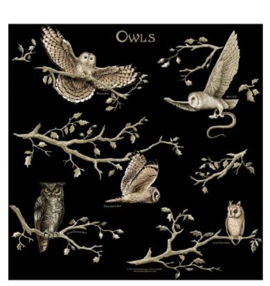The Printed Image - Bandana