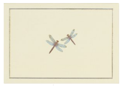 Peter Pauper Press - Blank Note Cards