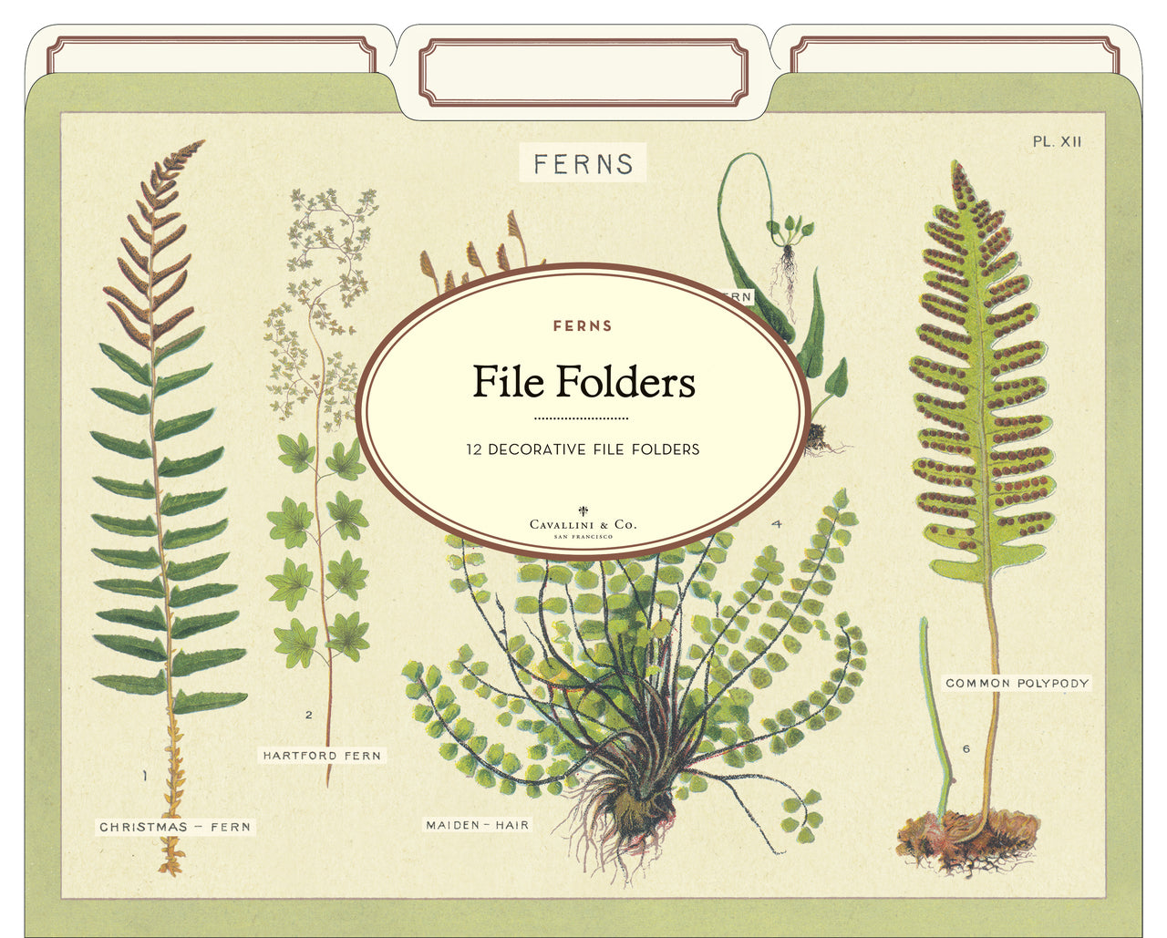 Natural File Folders - Cavallini Paper & Co.