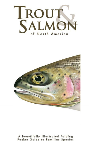 Waterford Press - Trout & Salmon of North America