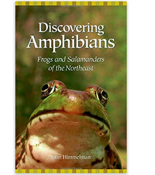 Discovering Amphibians by John Himmelman