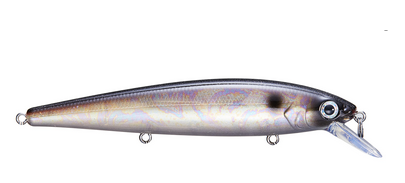Strike King - KVD 300 Jerkbait