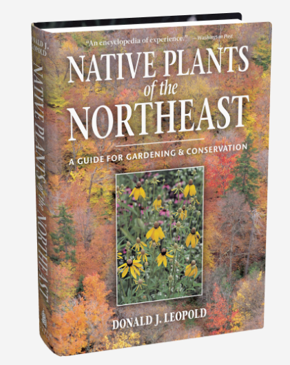 Native Plants of the Northeast