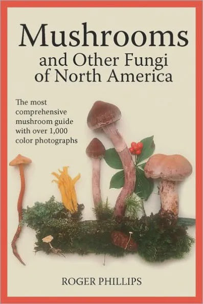 Firefly - Mushrooms and Other Fungi of North America