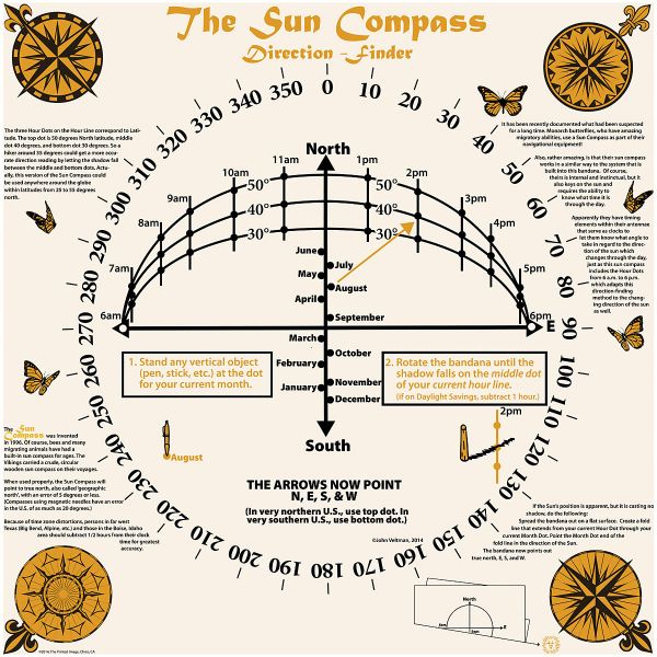 Nature Facts Bandana - Sun Compass